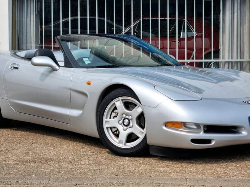 Jaki Jest Najdłuższy Wąż Na świecie Chevrolet Corvette C5 C5 kaufen bei Car & Classic