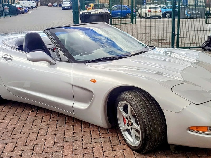 Niech żyje Król Julian Całe Odcinki Chevrolet Corvette C5 C5 kaufen bei Car & Classic