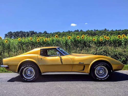 1973 Chevrolet Corvette C3 Stingray - **MARCH REDUCTION**