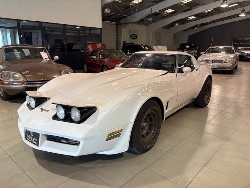 1981 Chevrolet Corvette C3 Stingray