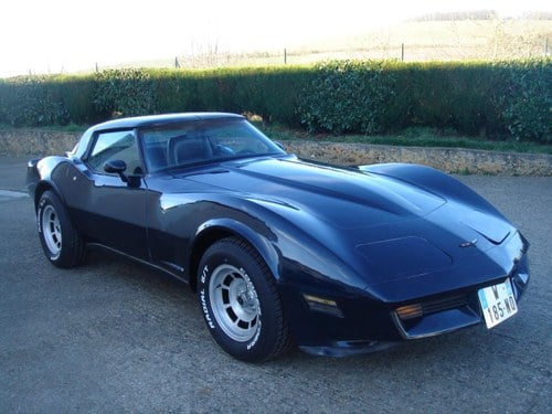 1981 Chevrolet Corvette C3 Stingray In vendita