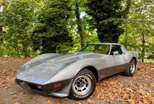 1978 Chevrolet Corvette C3 Stingray Te koop