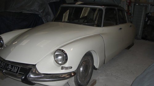 1967 French registered for sale SOLD