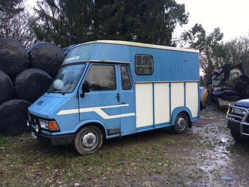 1986 Extremely Rare Citroen C35 Horsebox For Sale