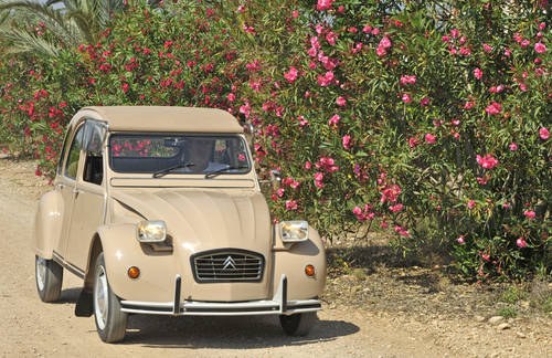 1984 2 CV 84, NEW, never used, only 58 kms For Sale