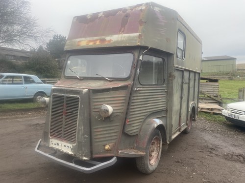 1967 Citroen HY Van Horse Box Ideal Coffee Catering Oppurtunity For Sale