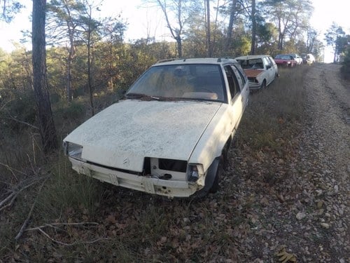 CITROEN BX - 1989 En Venta
