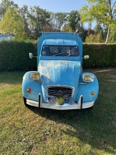 1974 Citroen 2CV Fourgonnette For Sale