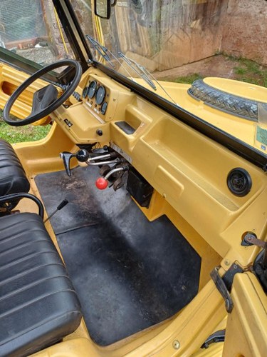 1980 Citroen Mehari Te koop