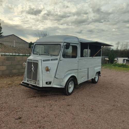 1973 Citroen HY En Venta