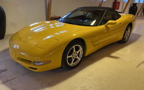 2001 Corvette C5 manual convertible (picture 1 of 11)