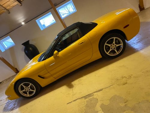 2001 Corvette - 3