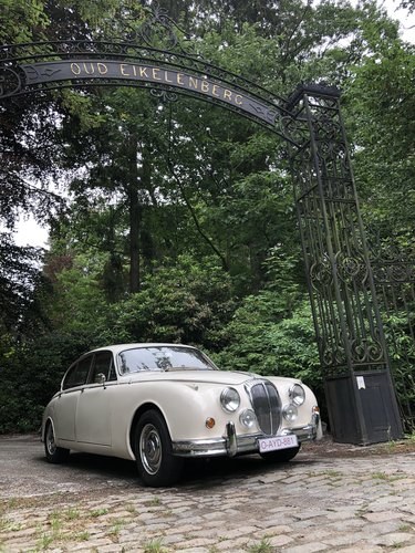 Daimler Mk II 1964 Kaufen Bei