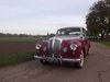 1953 Daimler Conquest 2.5 Body off restoration In vendita