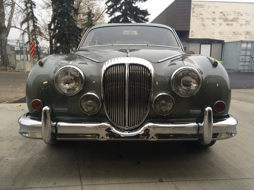 1964 Daimler For Sale
