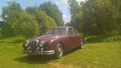 1966 Daimler V8 saloon Kaufen Bei