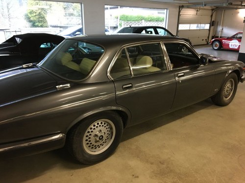1988 Daimler double six low milleage For Sale