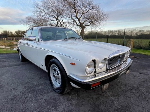 1992 DAIMLER DOUBLE SIX 5.3 SERIES 3 V12 AUTO * ONLY 55000 MILES  In vendita