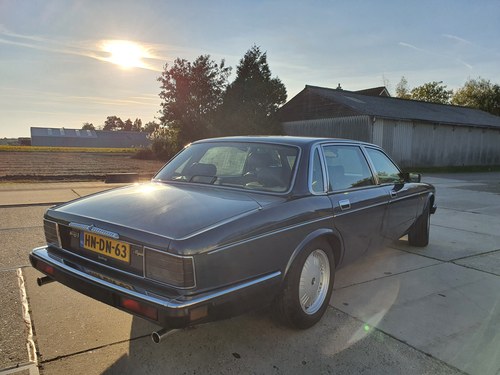 1994 Original DD6 Majestic for sale (NL) For Sale