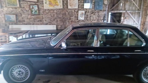 1987 Daimler Double Six En Venta