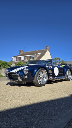 2009 Dax Cobra