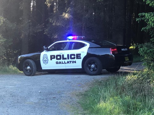 2007 Dodge charger hemi pursuit For Sale