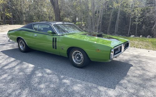 1971 Dodge Charger R/T (picture 1 of 10)