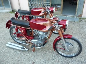 1959 Ducati 175 Sport For Sale