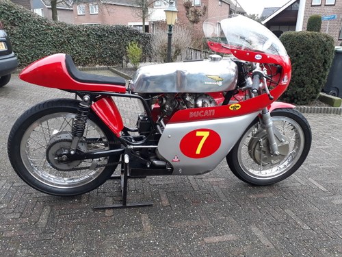 1967 Ducati 350cc classicracer In vendita