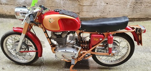 1961 DUCATI 175 TS In vendita