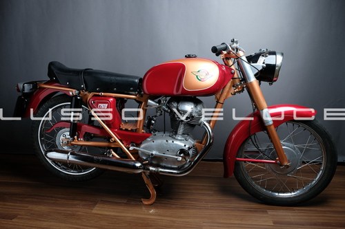 1956 Ducati 175 TS restored and Giro eligible  In vendita