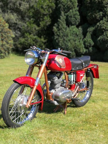 1961 Ducati For Sale