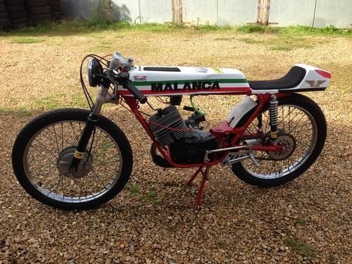 MALANCA GP 48 COMPETITION SOLD