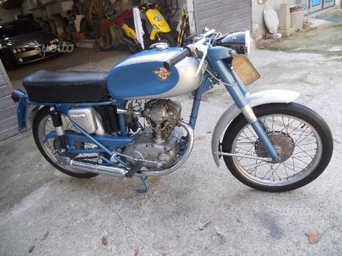 1962 Ducati 125 Sport For Sale