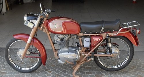 1962 Ducati 175 TS In vendita
