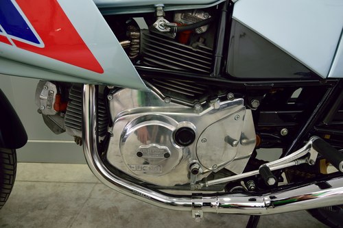 1981 Ducati Pantah 500 - 6