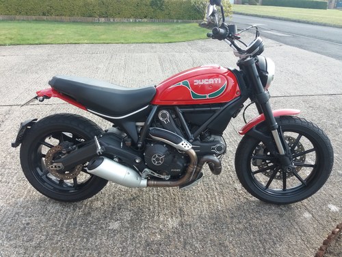 2015 Ducati Scrambler Icon 800 For Sale