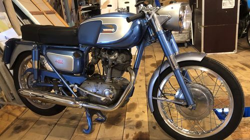 Picture of DUCATI OHC  250cc deluxe 1966 - For Sale