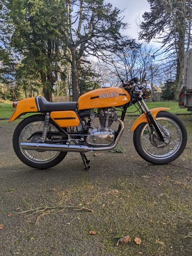 1973 Ducati 350 desmo In vendita