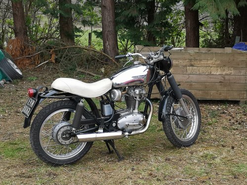 1973 Ducati 350 Scrambler For Sale