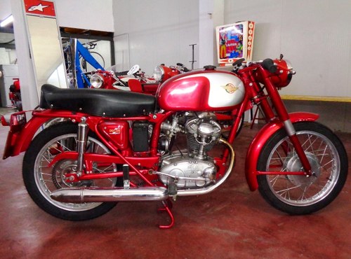 1960 Ducati 125 TS En Venta