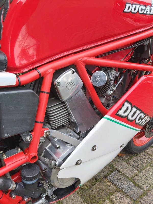 1988 Ducati M3 350 - 7
