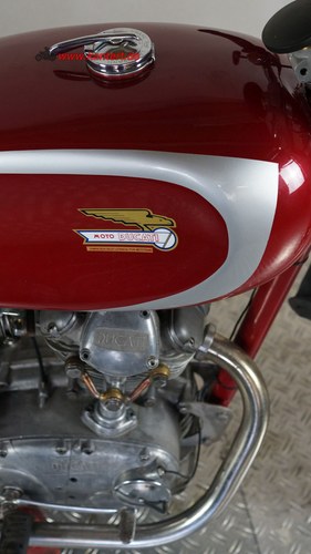1967 Ducati Supersport 600 - 8