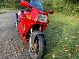 1993 Ducati 900 SSD