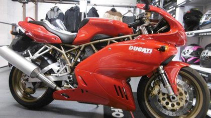 Ducati Supersport 900 - Italian Stallion  SEE PHOTOS