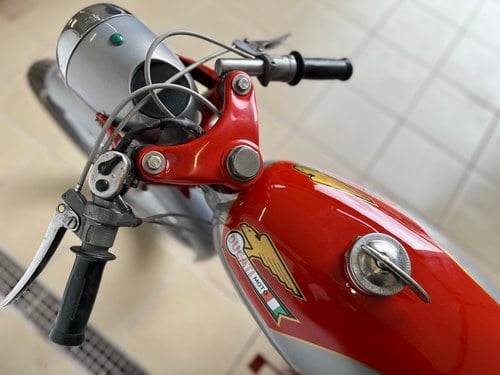 1965 Ducati Falcon - 8