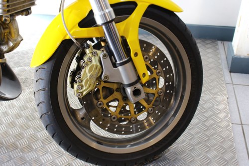2004 Ducati Monster 1000 - 5