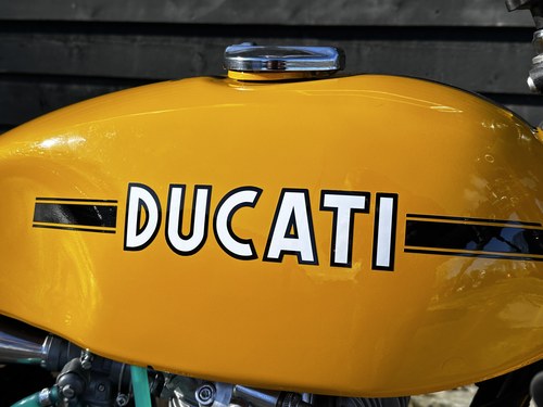 1974 Ducati 350 - 3