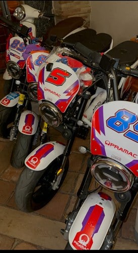 2023 Ducati Team Pit Bike - 6