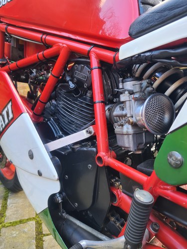 1986 Ducati 750 F1 - 5